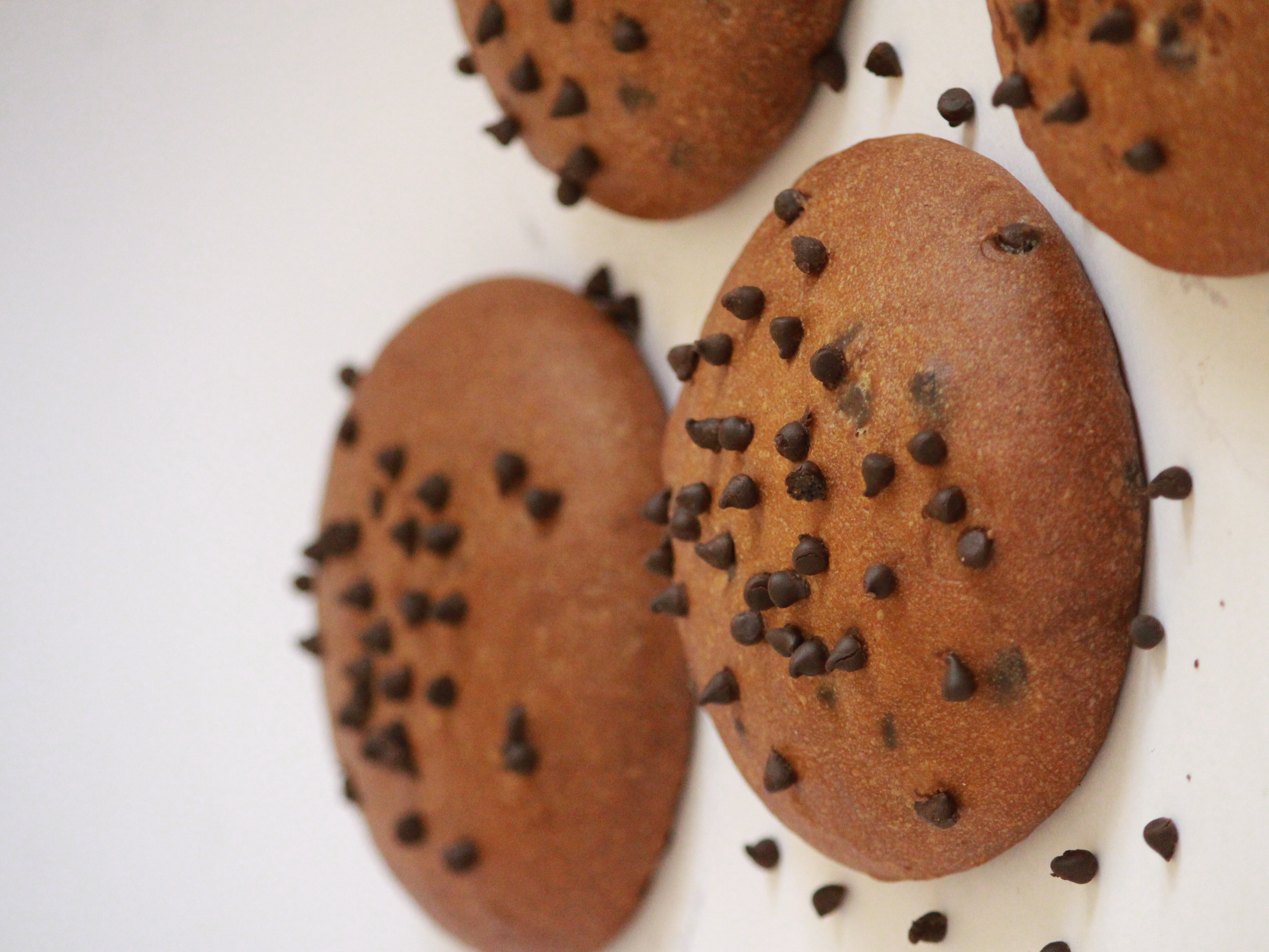 Chocolate Cookie Biscuits